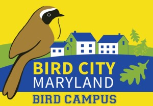 Bird campus logo